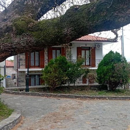 Villa Iris Mystras Luaran gambar