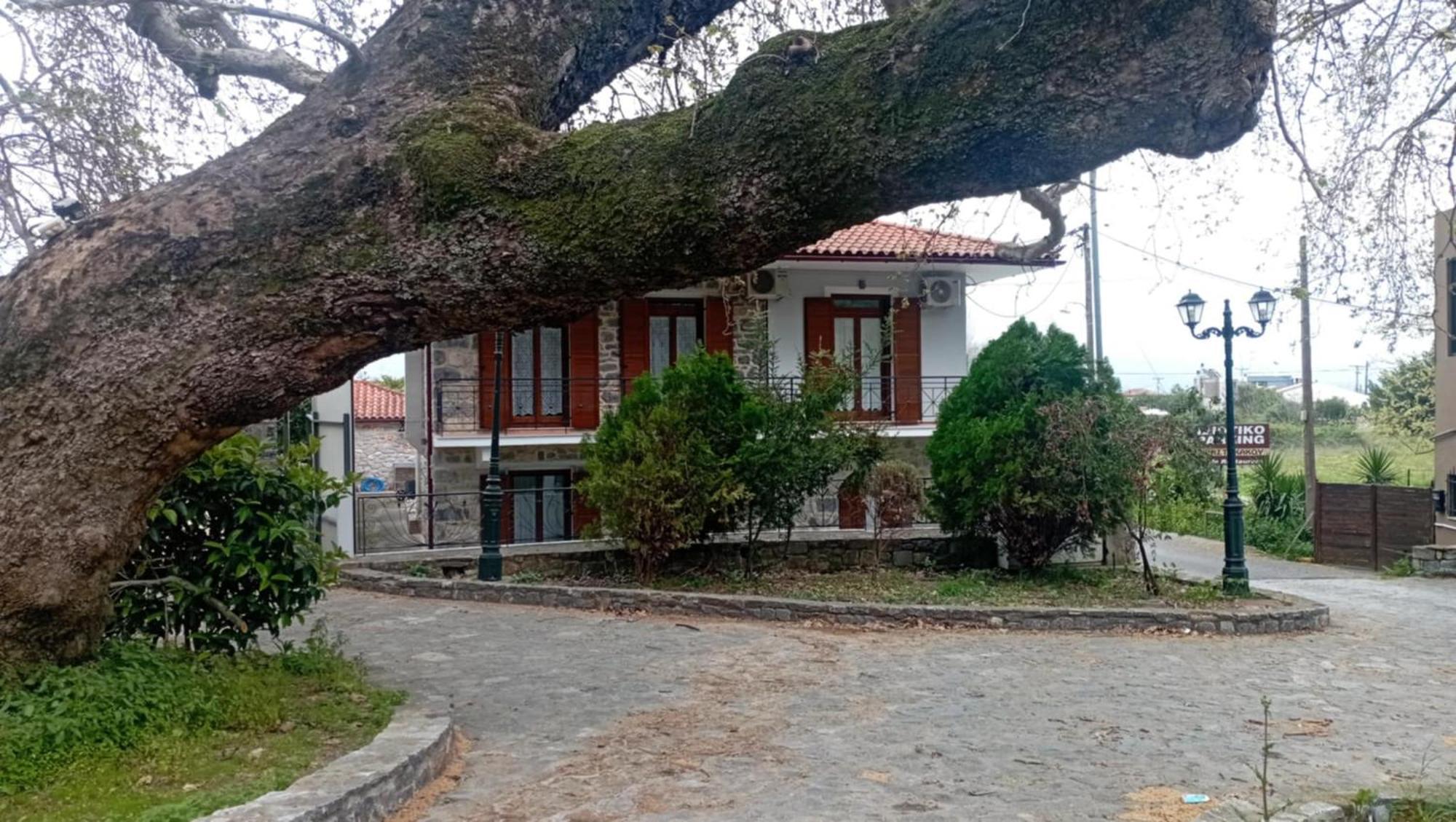 Villa Iris Mystras Luaran gambar